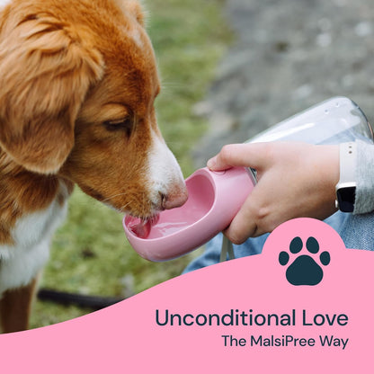 زجاجة مياه الحيوانات